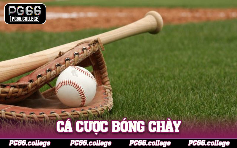 Cá Cược Bóng Chày