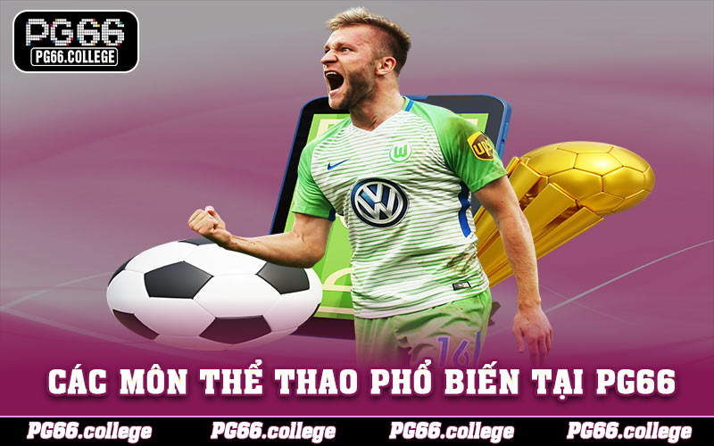 Các môn cá cược thể thao phổ biến tại PG66