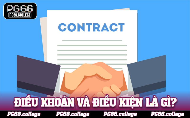 Mục đích của việc ban hành điều khoản và điều kiện là gì?