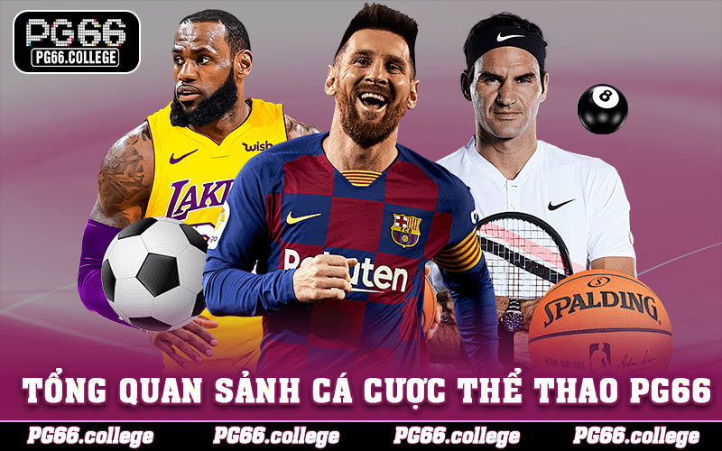 Tổng quan về các sảnh cá cược thể thao PG66