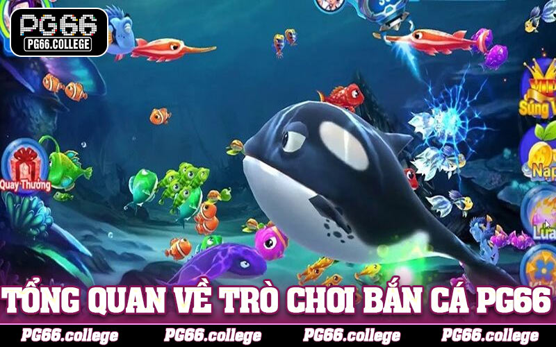 Tổng quan về trò chơi bắn cá PG66