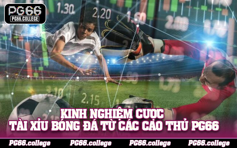 Kinh nghiệm cược tài xỉu bóng đá từ các cao thủ PG66