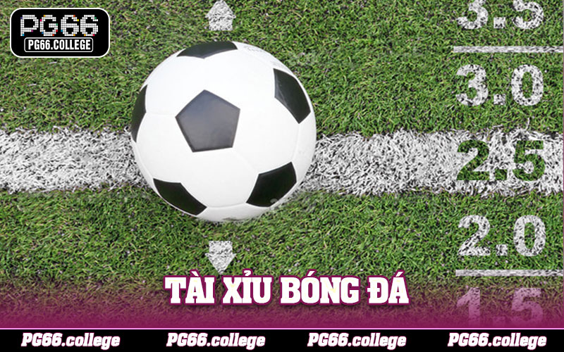 Tài Xỉu Bóng Đá